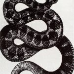 Thomas Paul Serpent Black and White 2 ft. x 3 ft. Indoor Area Rug