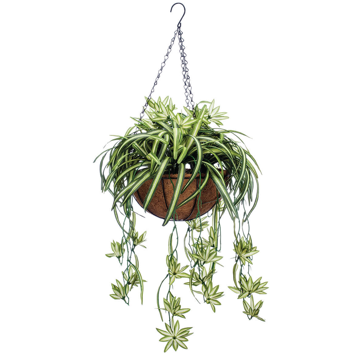 d924dbeca327bbd55a19cb2bce53147c2aaec64b304d92989ce9f34793f7ea6e.jpg Oakridge Fully Assembled Artificial Spider Hanging Basket - Image 1