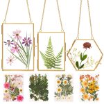 Relaxing Garden Double Glass Frame for Pressed Flowers - w/Real Dried Flowers and Tweezer for Handicrafts, Photo, or Other Small Flat Items