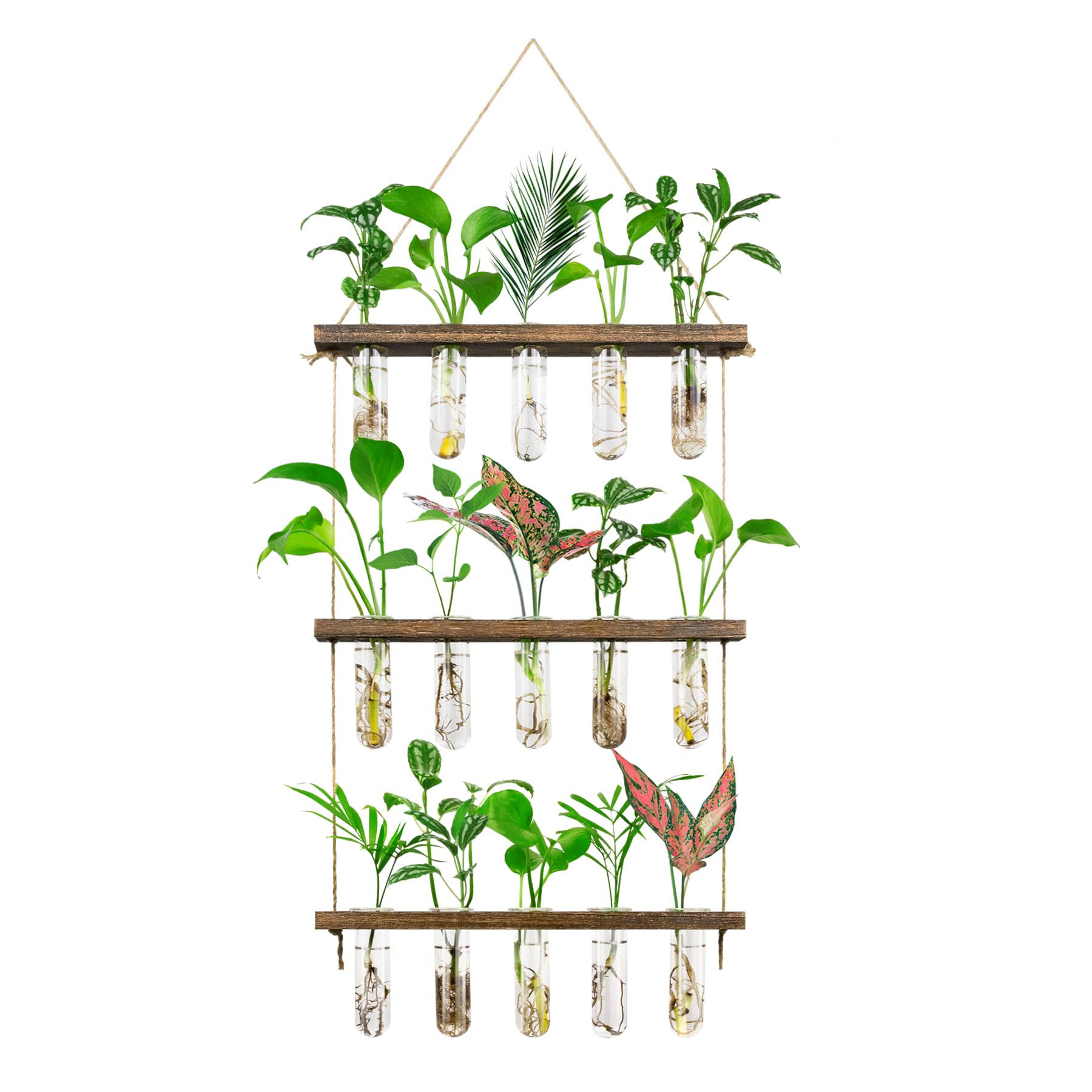 daff1582308d0ee7aff96a31727bc7c1d2df0396fc5a86d799d7bb3d4694bd6a.jpg Monsiter QE 3 Tier Large Propagation Stations Wall Hanging Plant Terrarium with Wooden Stand, Retro Propagation Test Tube for Hydroponic Plants - Image 1