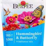Burpee Wildflower Seed Mix for Hummingbirds and Butterflies