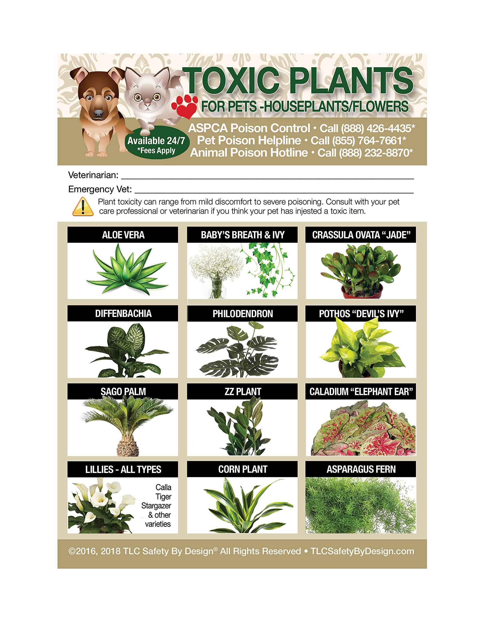 de0adffd85623c8220c6c703babae110bbf0ae3abafa856ff14e10dab5d21b10.jpg TLC Safety by Design Enhanced Toxic Plants Flowers Trademarked Poison for Pets Dogs Cats Emergency Home Alone 5�� x 7�� Veterinarian Approved - Image 1