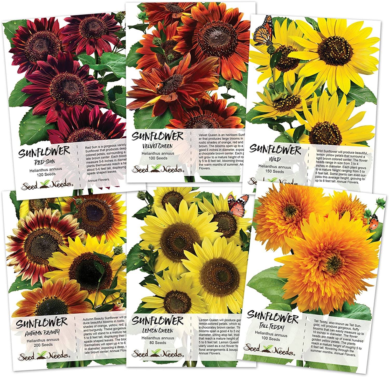 e0408b5e58b49b3ea55822e91641380ce80308f6a6cc08d1342c5f9f71cdb21d.jpg Crazy Sunflower Seed Packet Assortment (6 Individual Seed Packets) - Image 1