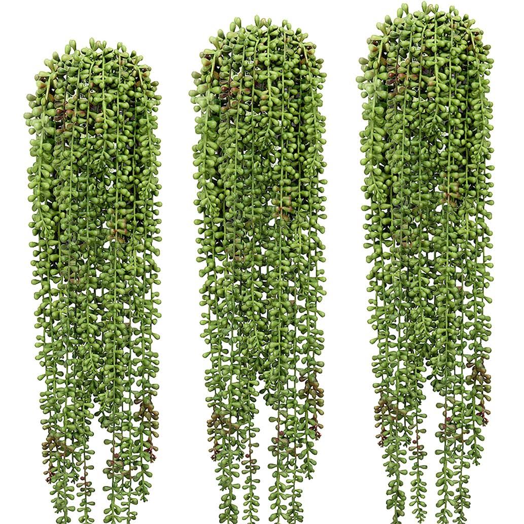 e0c1e2afbf9420f53b54c3f1b8f3ed98c3544ec77513d0d09e585061e5e9a107.jpg 3 Pcs String of Pearls Plant Artificial Hanging Succulents Plants for Home Garden Decor (pots Not Included) - Image 1