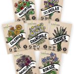 Sustainable Sprout Edible Flower Seeds Variety Pack - 100% Non GMO ÿ Nasturtium, Viola, Calendula, Chamomile, Chives, Bachelor Button, Calendula