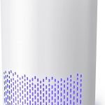 AROEVE Air Purifiers for Home, H13 HEPA Air Purifiers Air Cleaner for Smoke Pollen Dander Hair Smell Portable Air Purifier with Sleep Mode Speed