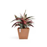 Ecopots Rotterdam Durable Indoor/Outdoor Modern Square Recycled Plastic Planter Flower Pot, Terracotta Color, 12"