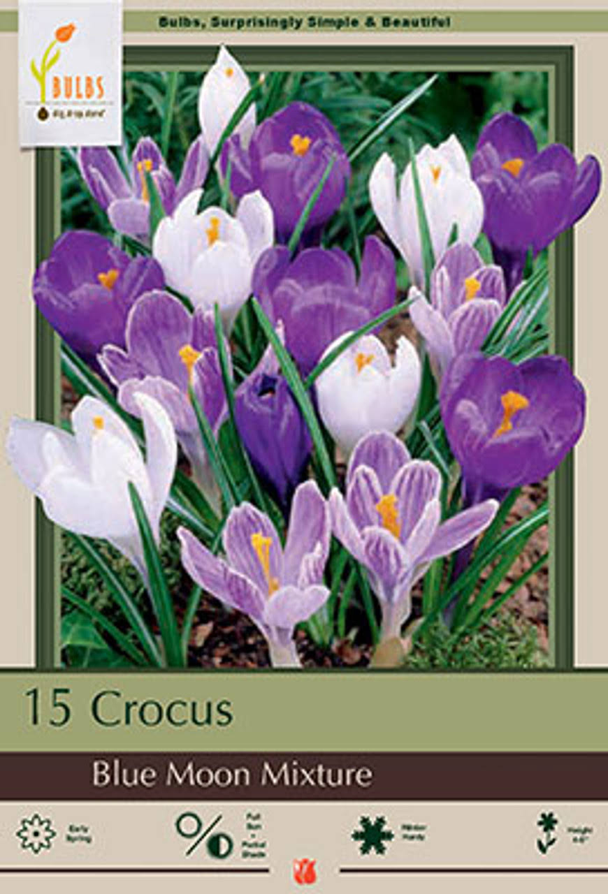 e91465ca6a39695398988f14aa3e2177402606d2bd2d3ca94a24fae246b6ac73.jpg Blue Moon Mix Crocus 20 Bulbs - Blues and Purples - 8/9cm - Image 1