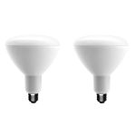 Ecosmart 75-Watt Equivalent BR40 Dimmable Energy Star LED Light Bulb Bright White (2-Pack)