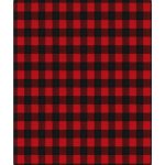 Snowcap 50 in x 60 in Red Fleece Buffalo Check Throw Blanket - Blankets and Pillows at Academy Sports