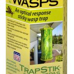 TrapStik for Wasps