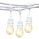 Brightech Ambience Pro - Waterproof LED Outdoor String Lights - Hanging, Dimmable 2W Vintage Edison Bulbs - 48 ft - White