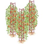 Gardener's Supply Company Tomato Ladders Set of 3, Red