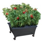 20 in. x 24 in. Charcoal Resin Indoor/Outdoor City Picker Raised Bed Grow Box Self-Watering Improved Aeration Casters