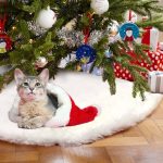 Aytai Christmas Tree Skirt 48 inch White Faux Fur Christmas Tree Skirt Luxury Tree Skirts for Holiday Decorations