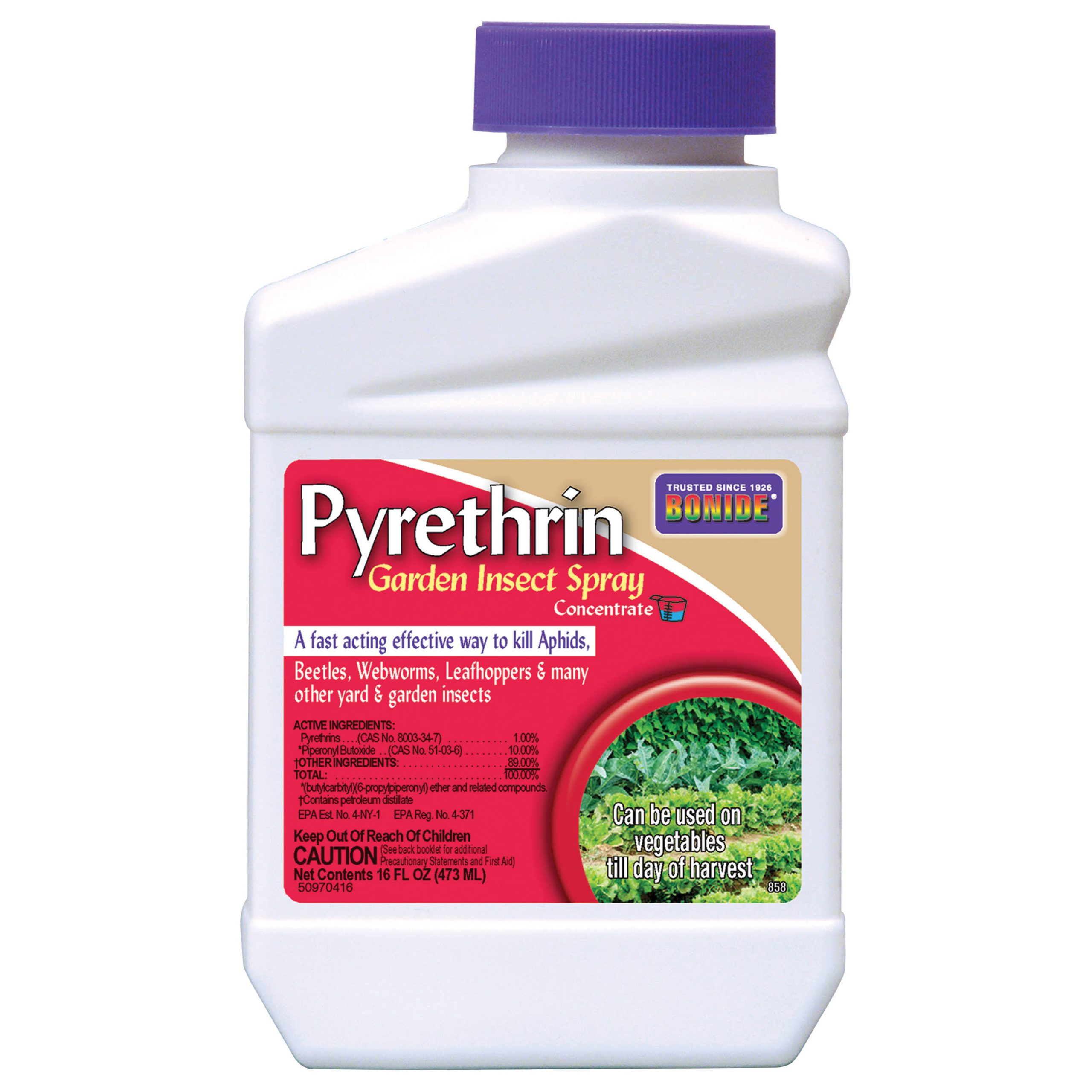Bonide Pyrethrin Garden Insect Spray