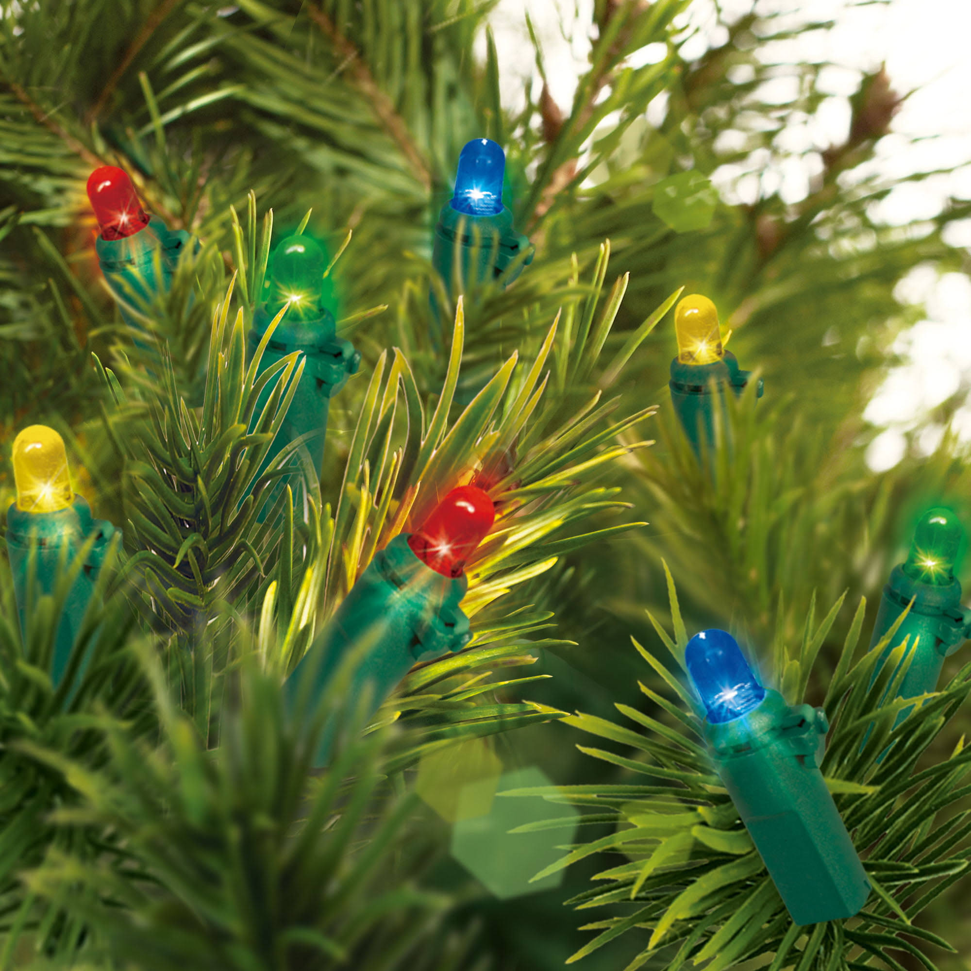 f245f67050d9607e8e75c8ba66442b2de0541de86992b5e6648c950e8d8a1ef4.jpg Holiday Time Battery Operated LED Mini Light Set Green Wire Multi Bulbs, 20 Count - Image 1
