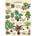 Cavallini & Co. House Plants Wrap & Poster