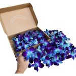 100 Blue Sonia Dyed Fresh Cut Dendrobium Orchid Loose Bloom