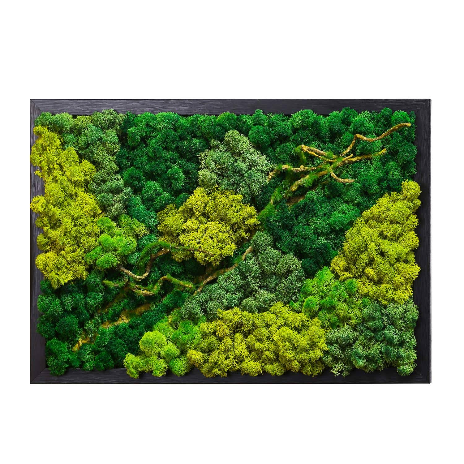 f596058d4aa8b6bd00c6109f311cb7bef718206e9f14a1c7dda3e504b774820b.jpg LVZHIHUAN Moss Wall Decor Real Preserved Moss No Maintenance Required Eco Natural Green Wall Art Moss Frame Living Plants Vertical Garden 19.7 - Image 1