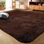 Lochas Luxury Fluffy Rugs Ultra Soft Shag Rug for Bedroom Living Room Kids Room Children6'x9'Coffee(4' x 5.3'/Coffee)