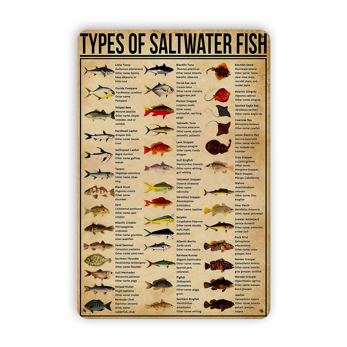 f6201b0cdd05c9d8e052129a3f5495d137953d973b23138383042295a087ac45.jpg Dectinsign Metal Tin Signs Types of Saltwater Fish Tin Sign Knowledge Popular Science Poster Farm Aquarium School Home Garden Cafe Garage Bar - Image 1