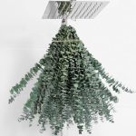20 Pcs Eucalyptus for Shower Hanging Dried Eucalyptus Stems 17" Real Eucalyptus 100% Made from Fresh Eucalyptus Leaves,Wedding Decor Home Decor