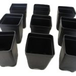 2.5" Square Extra Deep Landmark Nursery Pots - Press Fit (25)