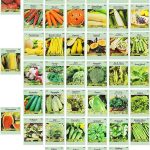 Set of 43 Assorted Vegetable & Herb Seeds - 43 Varieties - Create A Deluxe Garden All Seeds Are Heirloom - 100% Non-GMO by Black Duck Brand
