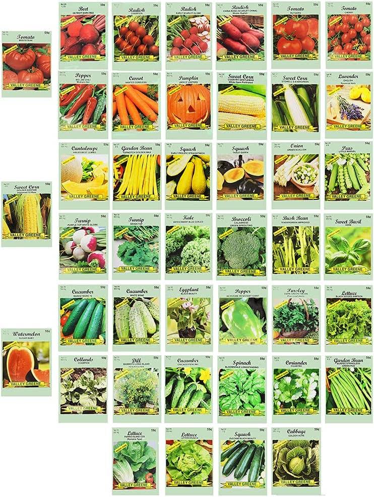 f9d0eef697817902c2840c4de6e4991ad7739c8a588e4d30ad3a9b0f6c6e408d.jpg Set of 43 Assorted Vegetable & Herb Seeds - 43 Varieties - Create A Deluxe Garden All Seeds Are Heirloom - 100% Non-GMO by Black Duck Brand - Image 1
