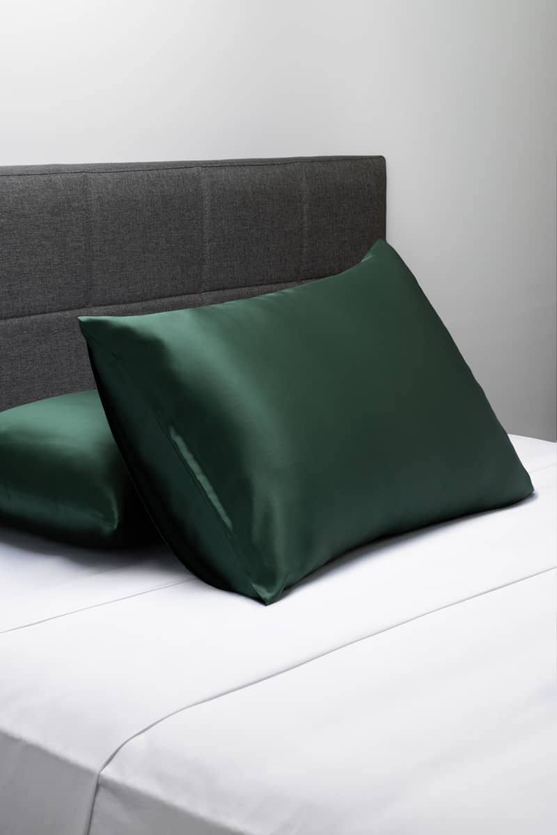 fa2d8332dcaa0d9cfb2dd7dc3987aed4fff7c4120af2b0ad74142b39eb5f29e4.jpg 19 Momme 100% Pure Mulberry Silk Pillowcase - Exceptional Value - Good Housekeeping Quality Tested | Fishers Finery - Image 1