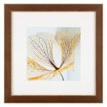 Studio Decor 8" Gallery Walnut & Gold Trim Frame with Mat - Each