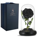 SW Eternal Rose -preserved Real Rose in Glass Dome Gift Eternal