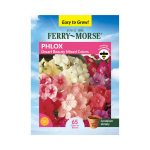 Ferry-Morse 180mg Phlox Dwarf Beauty Mixed Colors Annual Flower Seeds Full Sun, Pink