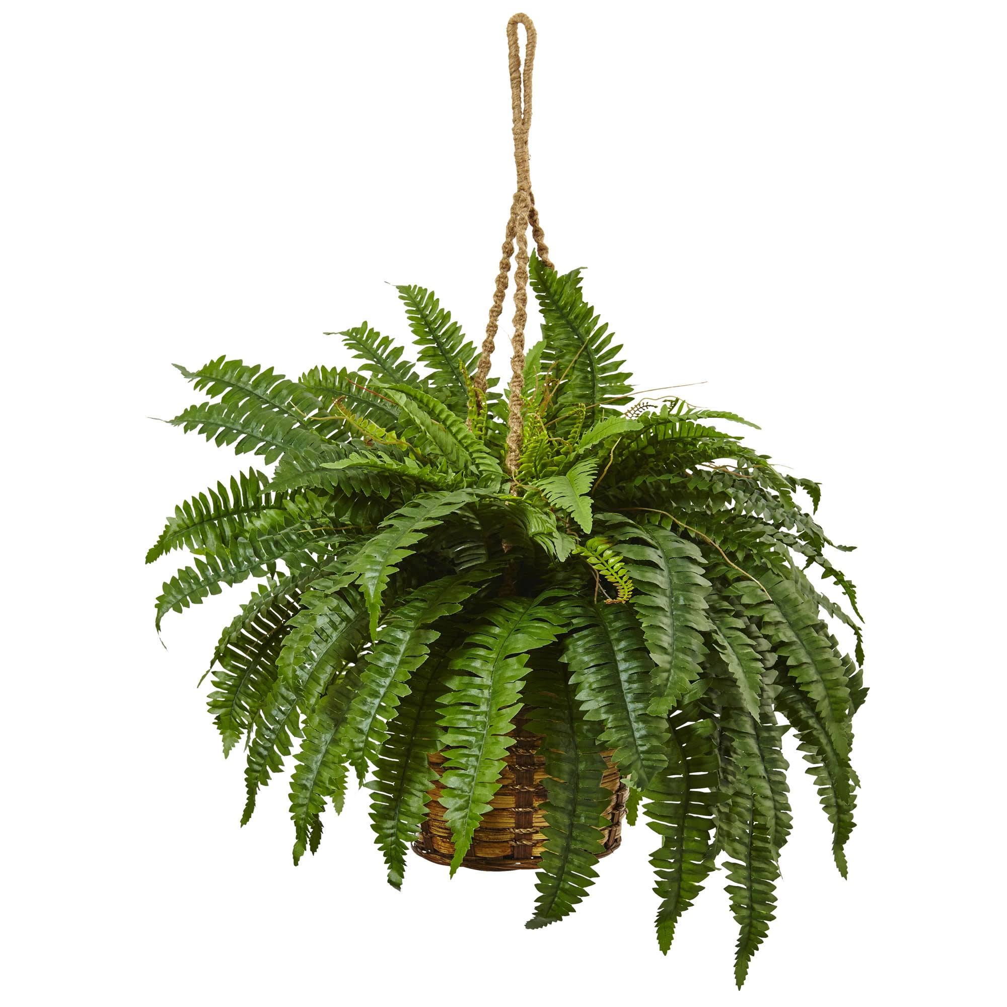 fb6e20c8d835a09467ff51f44da3a6a7aad44df2b42995054053644577aa3c74.jpg Nearly Natural 29-in Green Artificial Boston Fern Plants | 6931 - Image 1