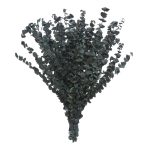 Ashland Eucalyptus Bunch - 16 oz