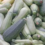 Grey Zucchini Summer Squash Garden Seeds - 4 oz - Non-GMO, Heirloom - Vegetable Gardening Seed - Gray