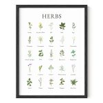 Haus and Hues Herb Pictures for Kitchen Wall Art Kitchen Herbs Wall Art and Botanical Prints Herbs Art | Kitchen Wall Art Herbs Poster and Kitchen