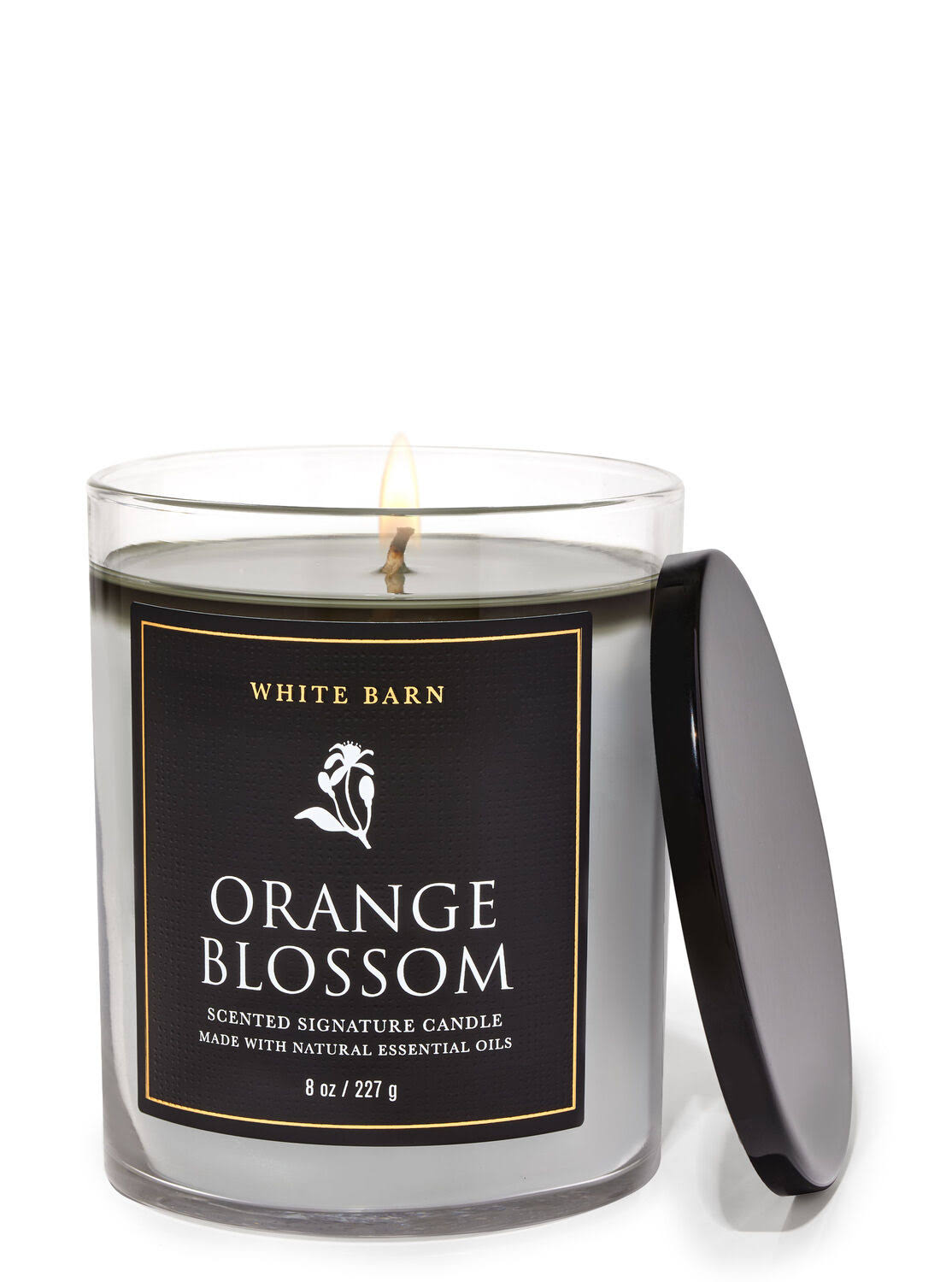 fee9905ca590bd5821c626fb549e0b42a33371a53018ef81b55096e4ff5f476a.jpg Bath & Body Works Orange Blossom Signature Single Wick Candle - Image 1