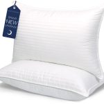 COZSINOOR Queen Size Bed Pillows Set of 2, Plush Cooling Hotel Quality Pillows with Breathable Skin-Friendly Microfiber Cover