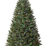 Balsam Hill BH Fraser Fir Pre-Lit Artificial Tree in Color and Clear LED