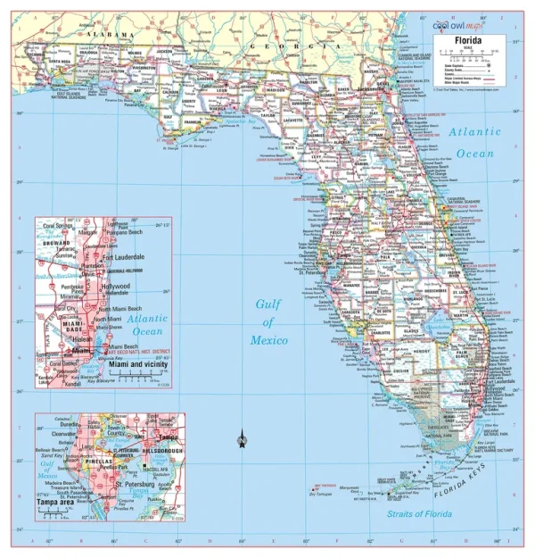 Cool Owl Maps Florida State Wall Map Poster Rolled (Laminated 30"Wx31"H)