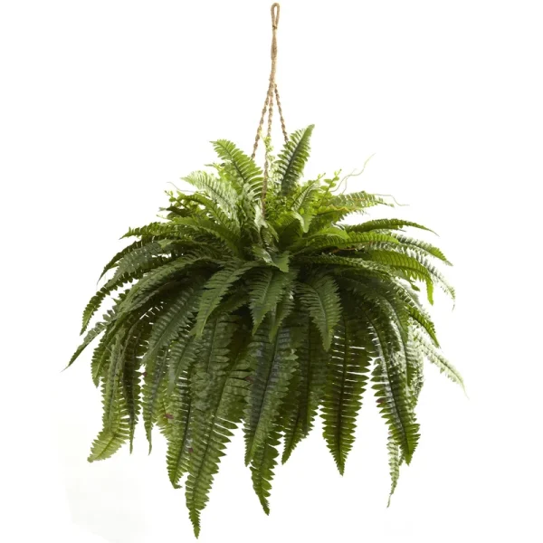 Nearly Natural Double Giant Boston Fern Hanging Basket