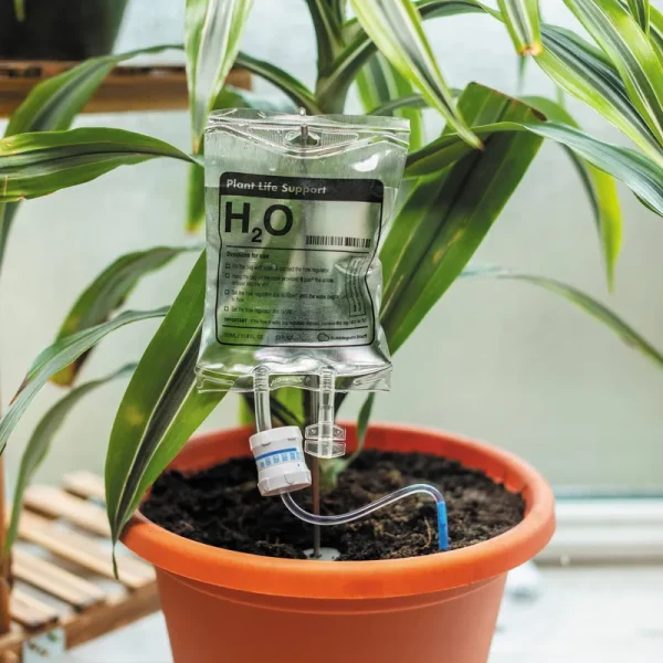 Bubblegum Stuff Plant Life Support Drip