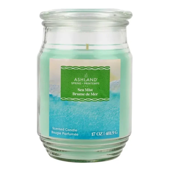 Sea Mist Scented Jar Candle by Ashland | 17 | Michaels