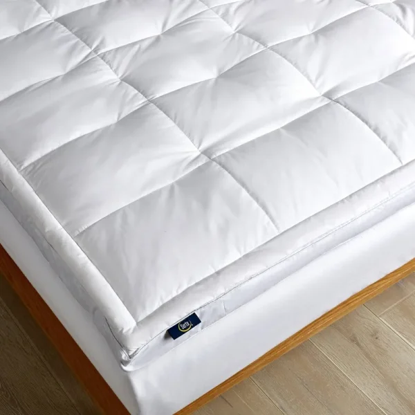 Serta 2" Feather and Down Fiber Top Featherbed Queen