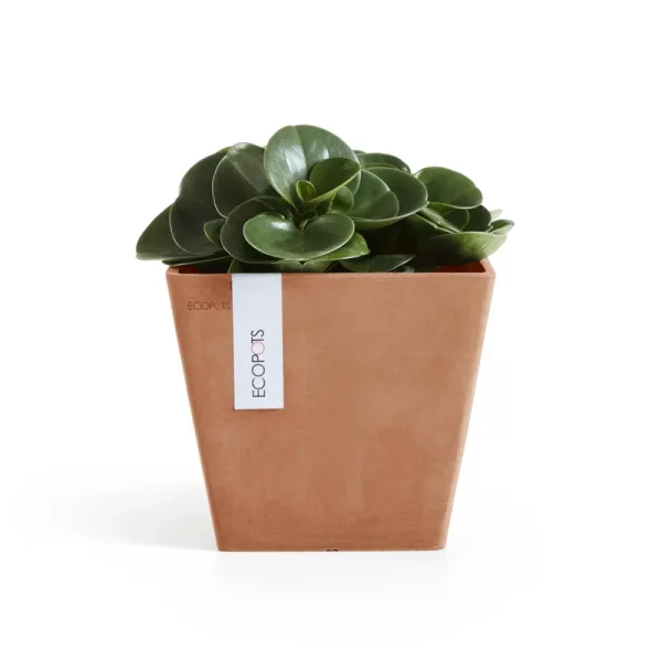 Ecopots Rotterdam Durable Indoor/Outdoor Modern Square Recycled Plastic Planter Flower Pot, Terracotta Color, 8"