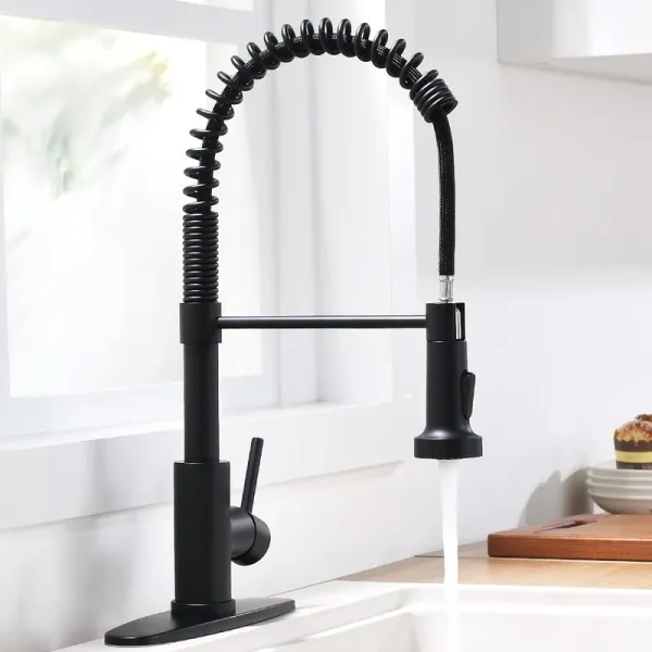 TENLO Black Kitchen Faucet Kitchen Sink Faucet with Sprayer - Kitchen Faucet with Pull Down Sprayer