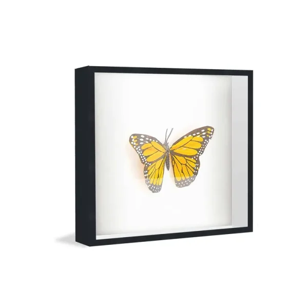 22x22 Shadow Box Frame Black | 1 Inches Deep Real Wood Contemporary