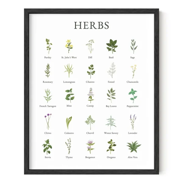 Haus and Hues Herb Pictures for Kitchen Wall Art - Kitchen Herbs Wall Art and Botanical Prints Herbs Art Kitchen Wall Art Herbs and Kitchen Art